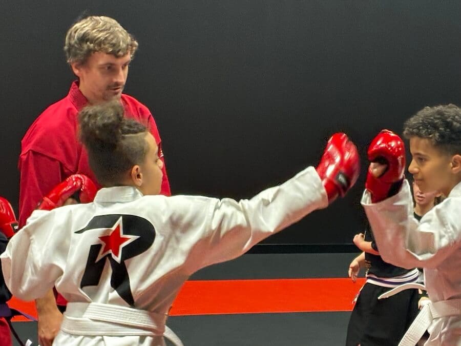 kids martial arts benefits in social skills development